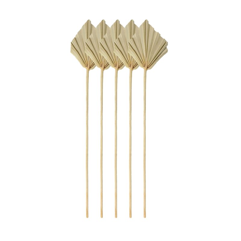 Palm Leaf Dried - A67P-Boho Piccole Pale di Palma Essiccate