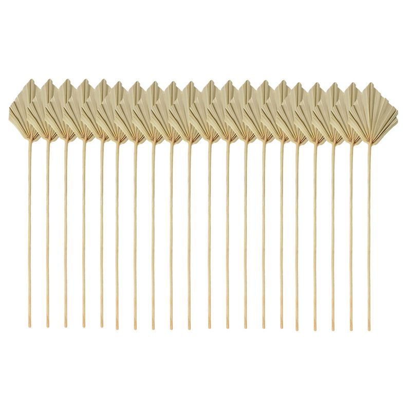 Palm Leaf Dried - ABYN-Boho Piccole Pale di Palma Essiccate