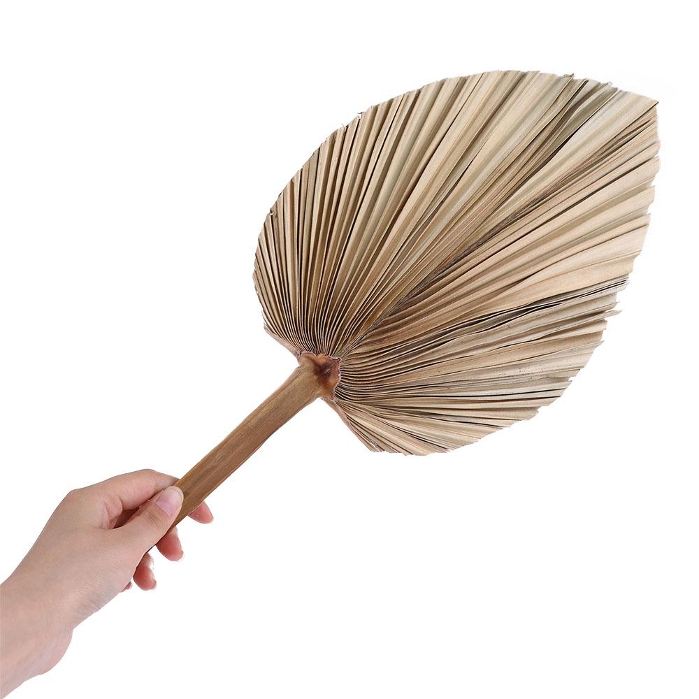 Palm Leaf Dried - Decorazioni per Feste e Uffici, Foglie