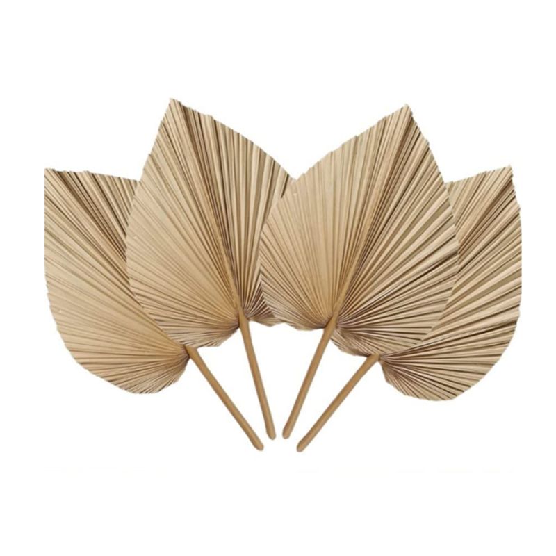 Palm Leaf Dried - A27F-6 Pezzi Foglie di Palma Tropicale