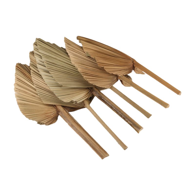 Palm Leaf Dried - ABKO-6PCS Foglie di Palma Essiccate Naturali,