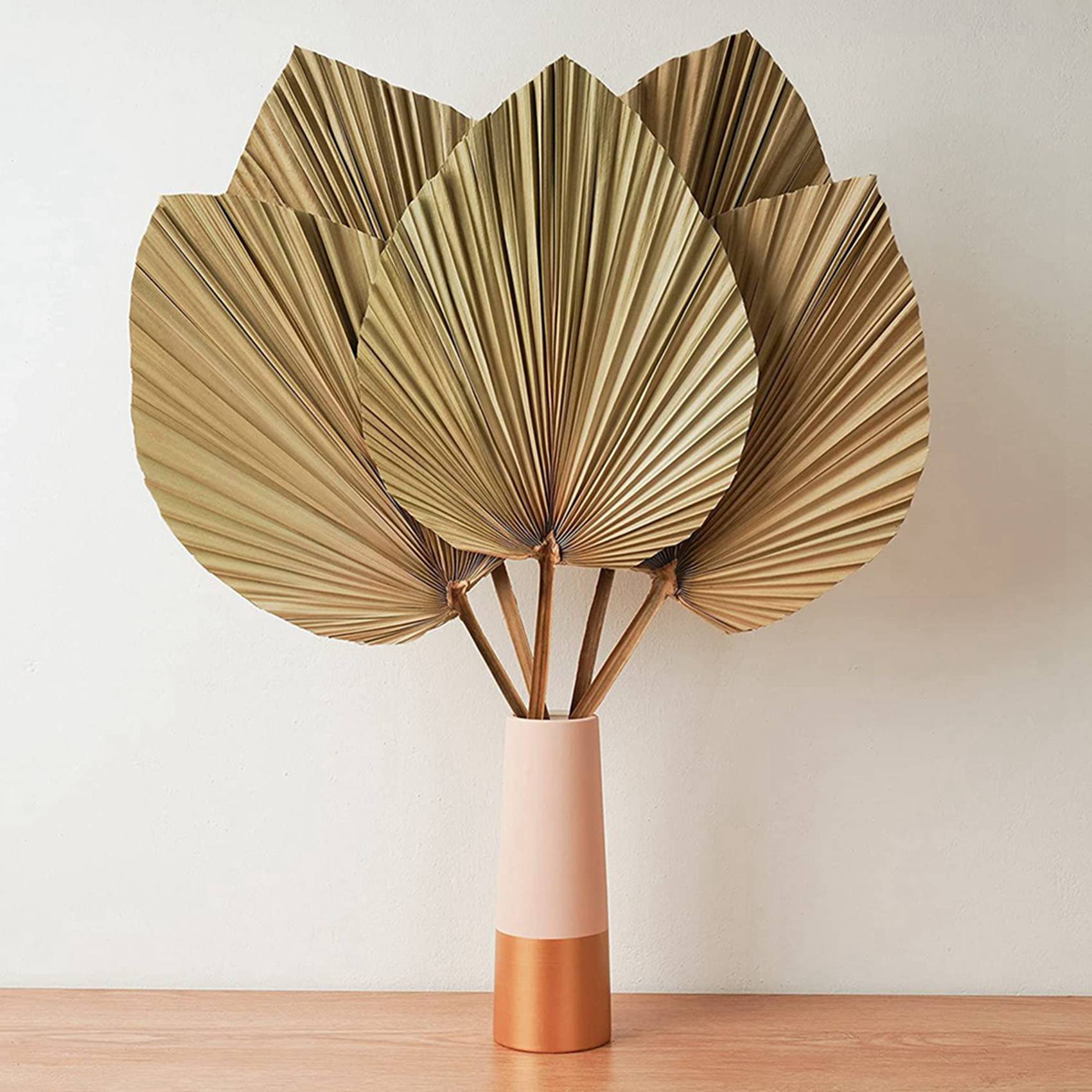Palm Leaf Dried - Foglie di Palma Essiccate per Decorazione