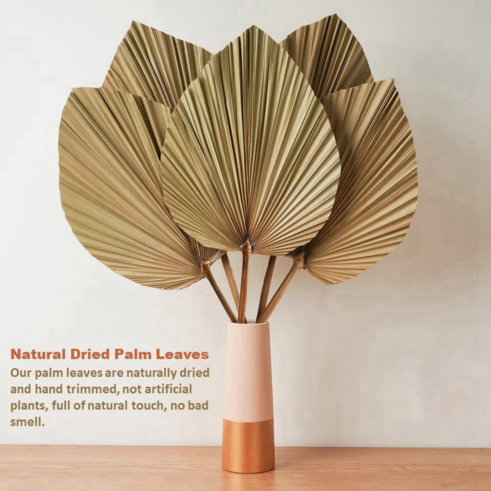8 foglie di palma naturali ess - Palm Leaf Dried recensione e prezzo