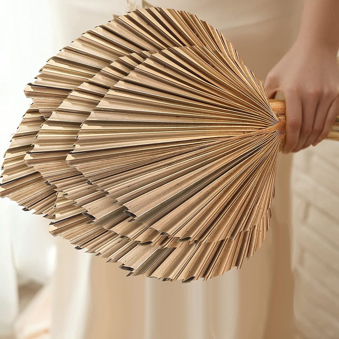 5 pezzi di foglie di palma ess - Palm Leaf Dried recensione e prezzo