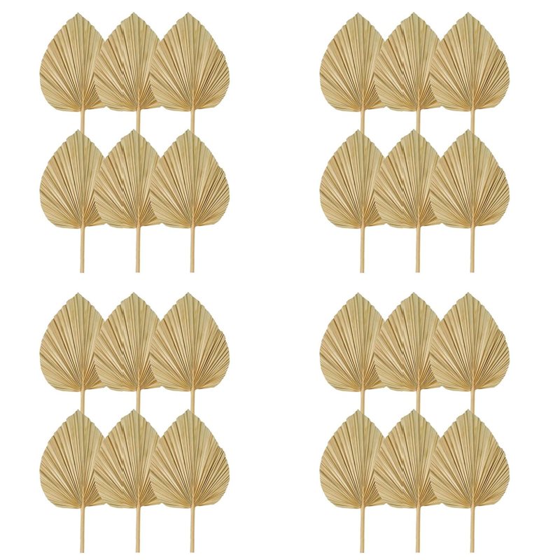 【NATALE】24 foglie di palma ess - Palm Leaf Dried recensione e prezzo
