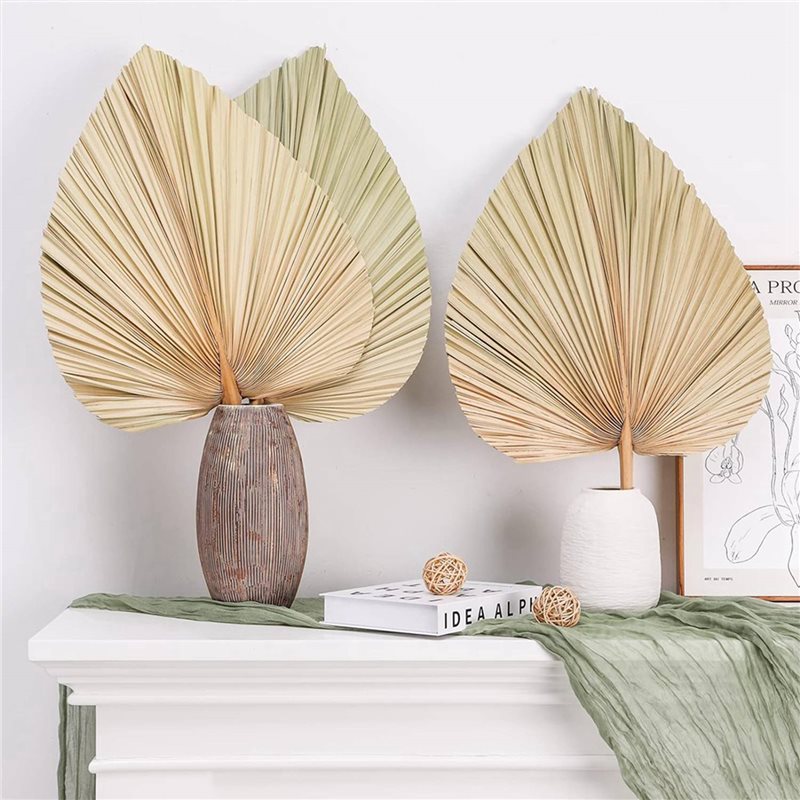 【NATALE】24 foglie di palma ess - Palm Leaf Dried recensione e prezzo