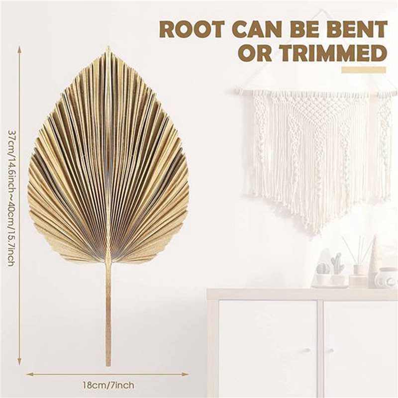 【NATALE】24 foglie di palma ess - Palm Leaf Dried recensione e prezzo