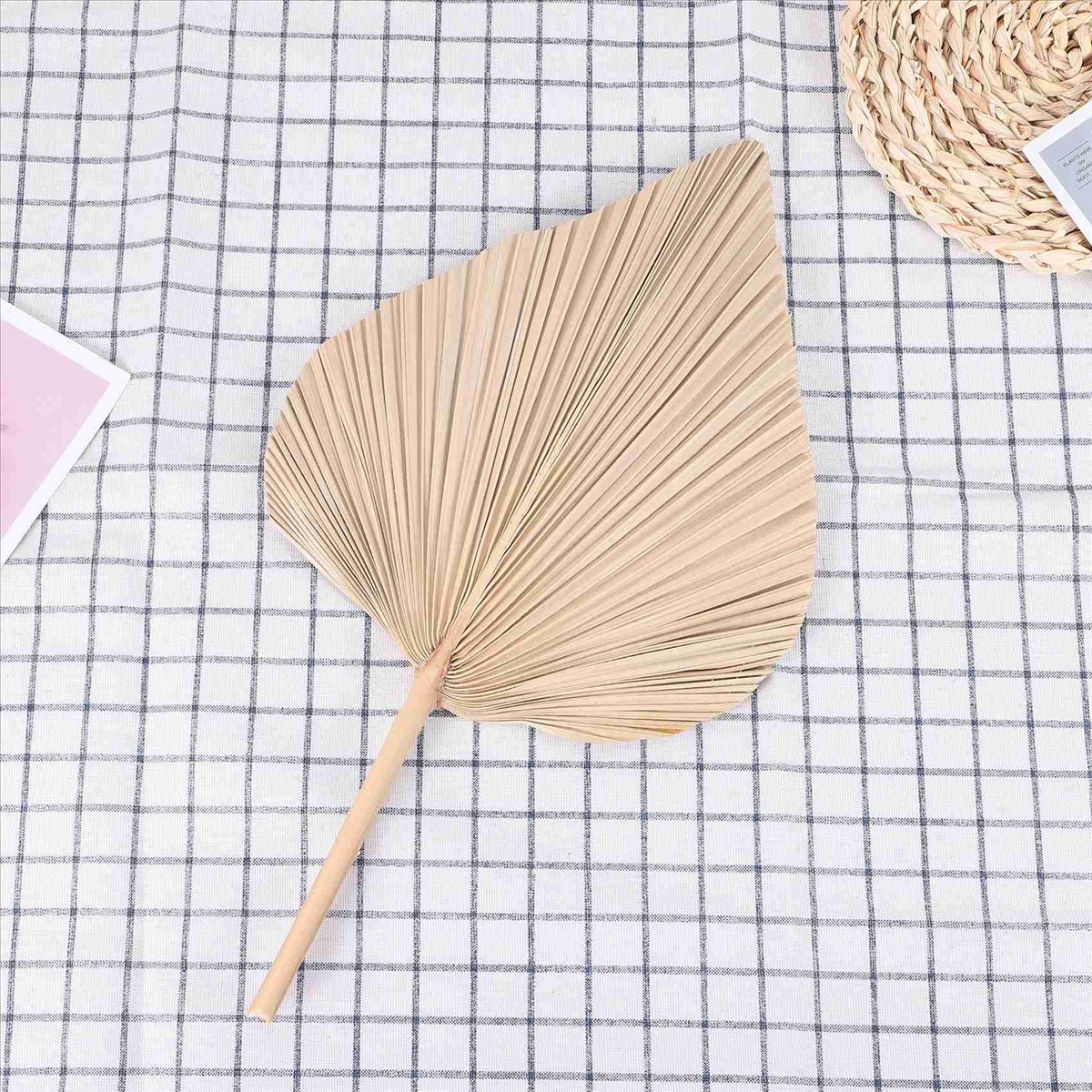 NOCM Foglie di palma essiccate - Palm Leaf Dried recensione e prezzo