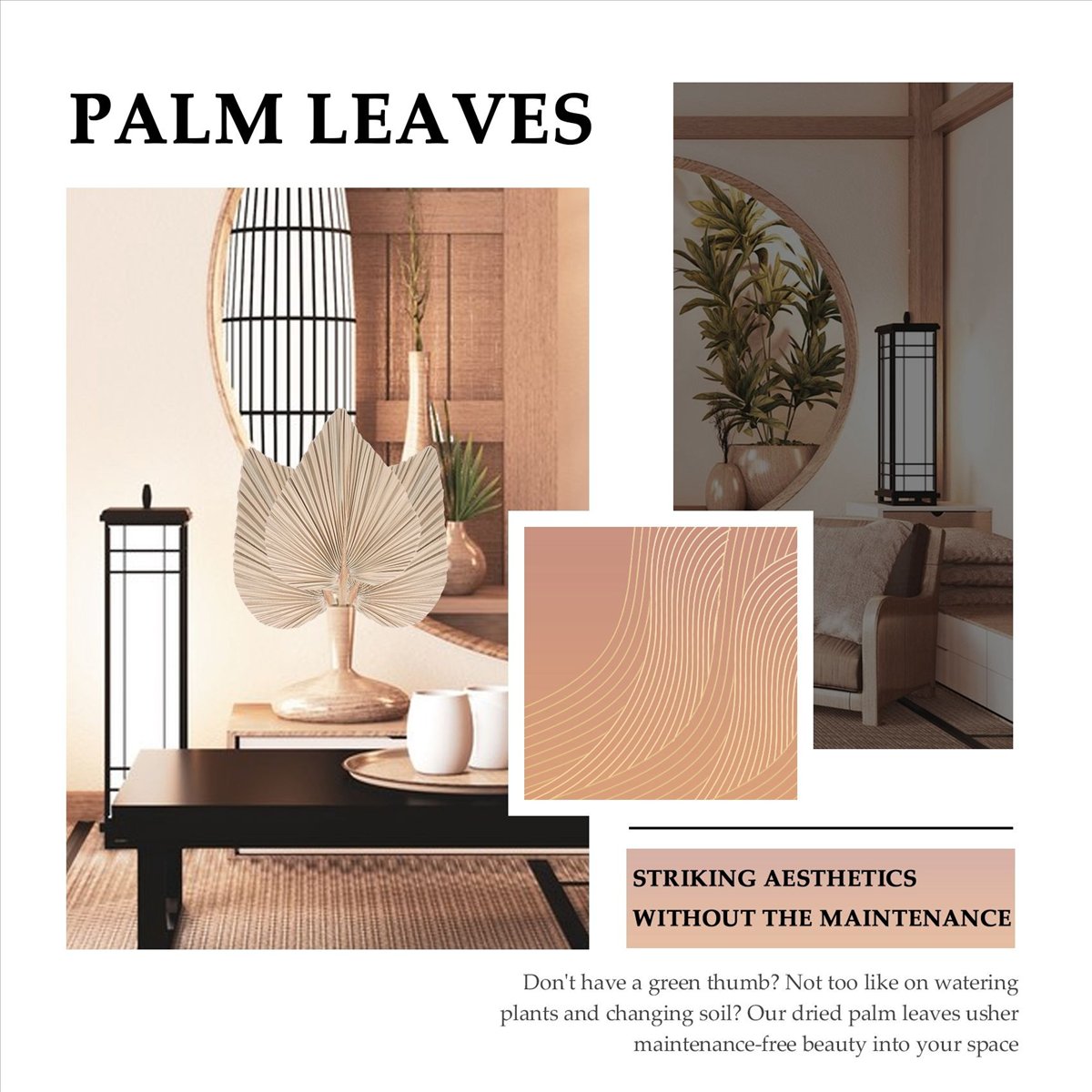 NOCM Foglie di palma essiccate - Palm Leaf Dried recensione e prezzo