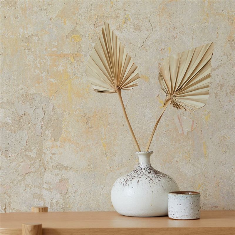 A67P-Boho Piccole Pale di Palm - Palm Leaf Dried recensione e prezzo