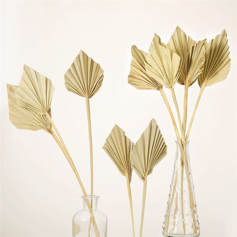 ABYN-Boho Piccole Pale di Palm - Palm Leaf Dried recensione e prezzo