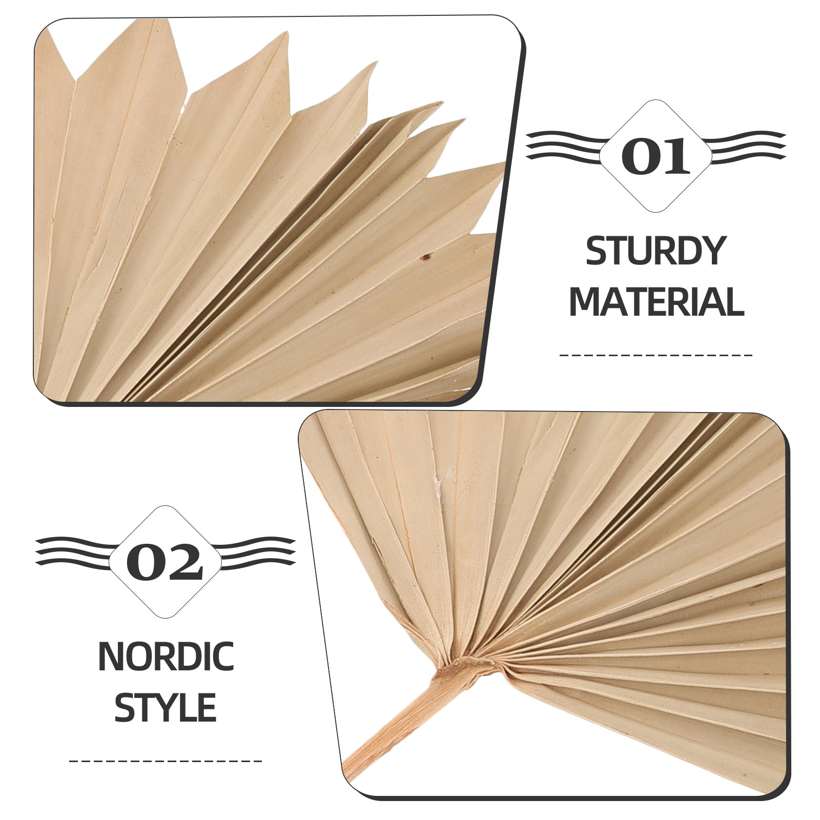 4 Pezzi di Foglie di Palma Ess - Palm Leaf Dried recensione e prezzo