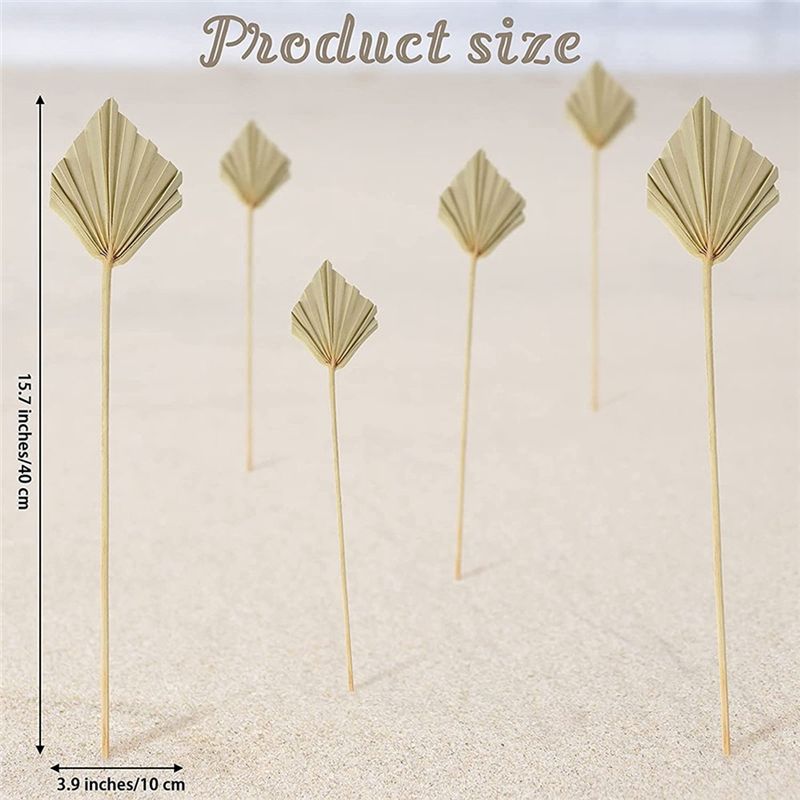 AS60-30 Pezzi di Pale di Palma - Palm Leaf Dried recensione e prezzo