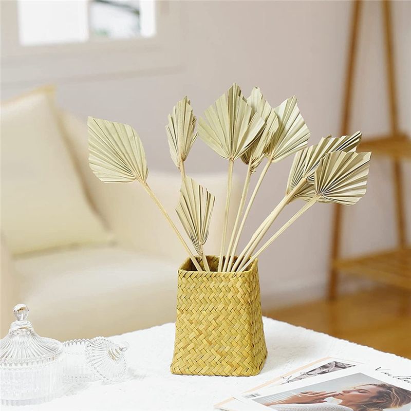 AS60-30 Pezzi di Pale di Palma - Palm Leaf Dried recensione e prezzo