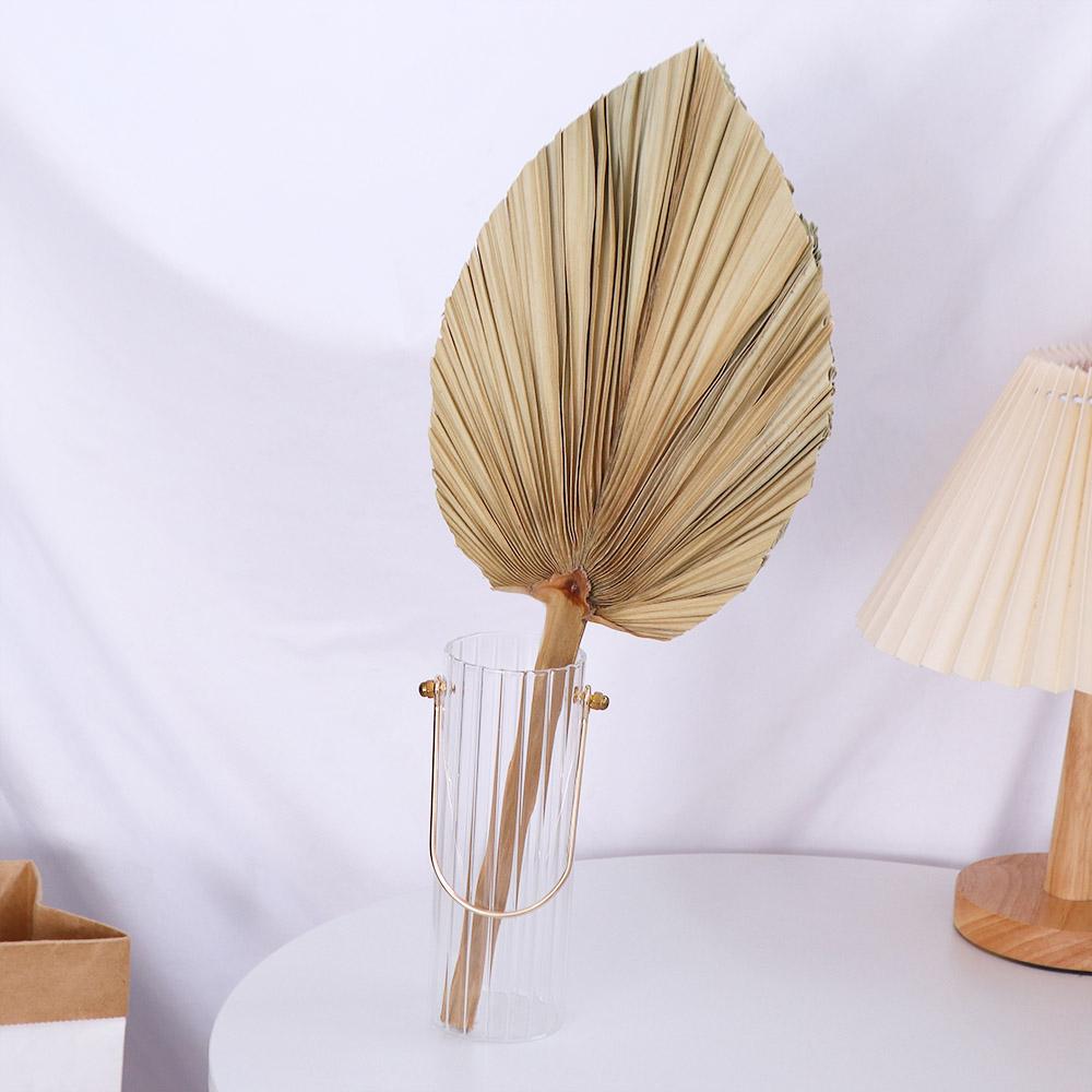 Decorazioni per Feste e Uffici - Palm Leaf Dried recensione e prezzo