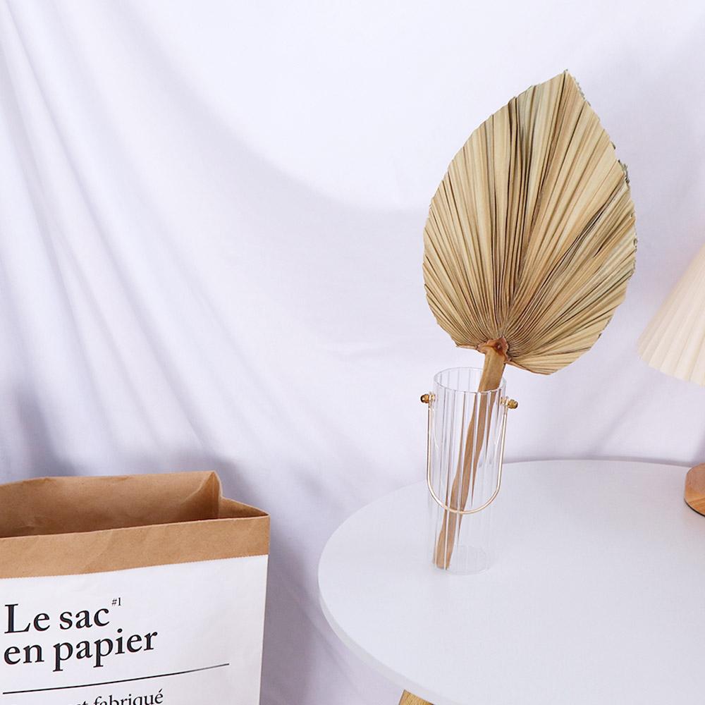 Decorazioni per Feste e Uffici - Palm Leaf Dried recensione e prezzo