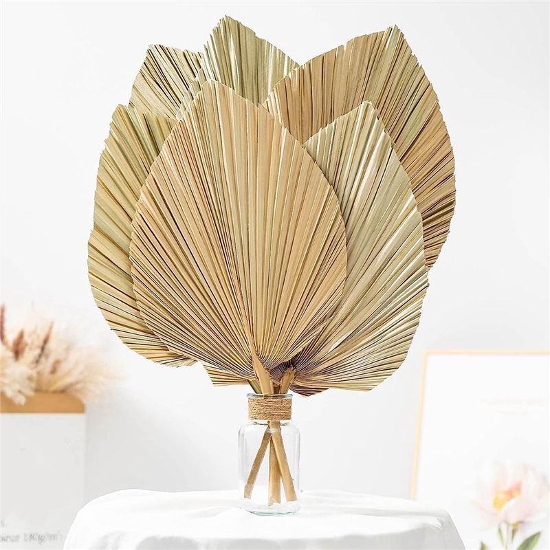 A27F-6 Pezzi Foglie di Palma T - Palm Leaf Dried recensione e prezzo