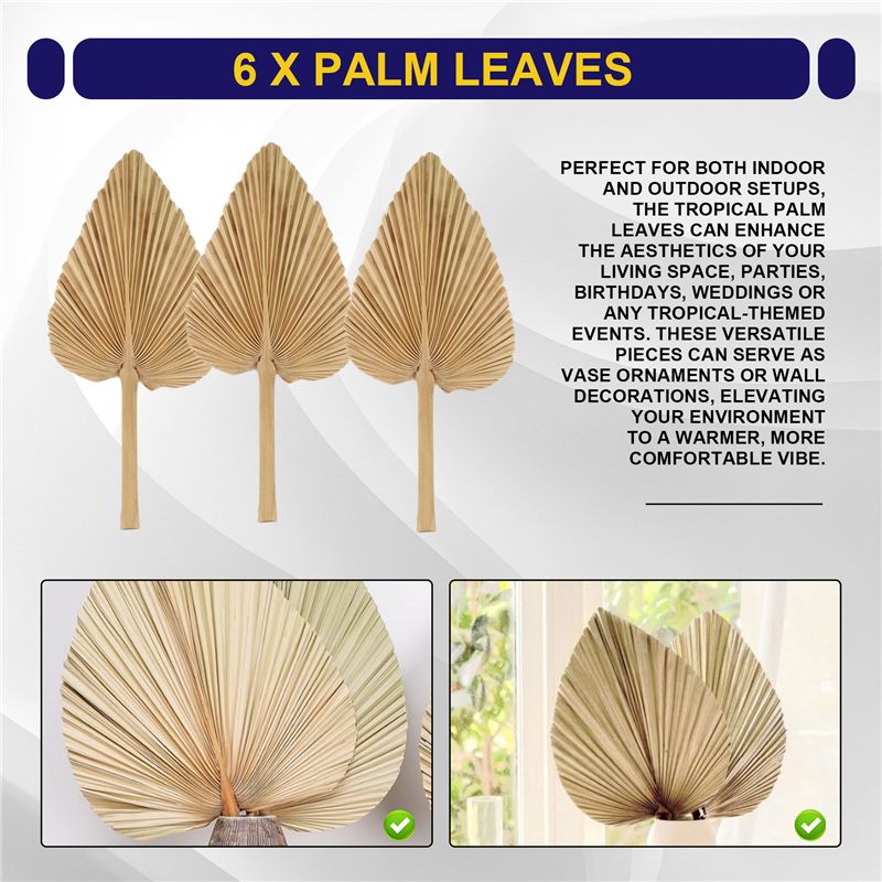 ABKO-6PCS Foglie di Palma Essi - Palm Leaf Dried recensione e prezzo