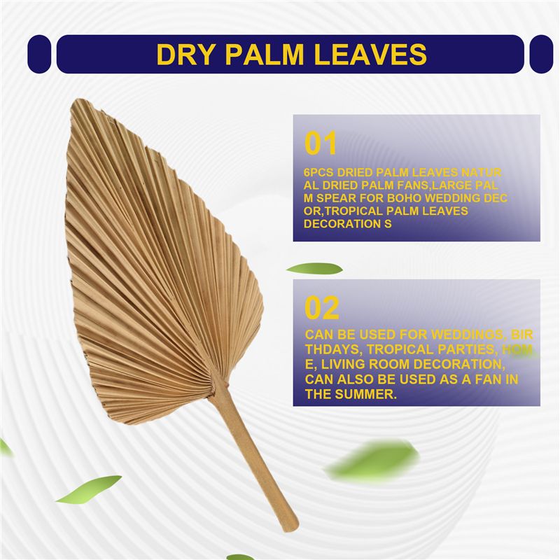 ABKO-6PCS Foglie di Palma Essi - Palm Leaf Dried recensione e prezzo