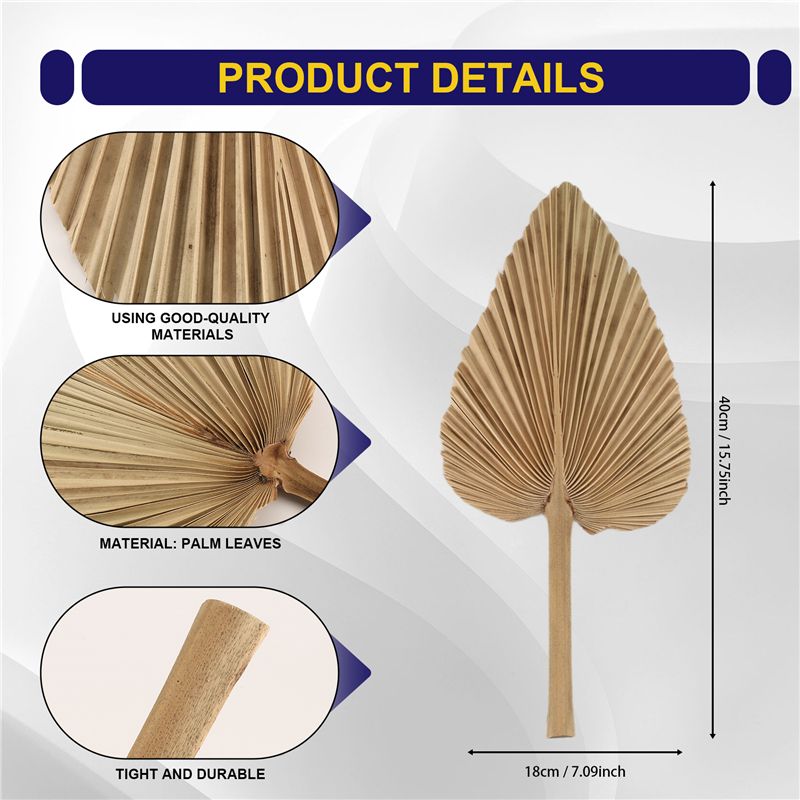 ABKO-6PCS Foglie di Palma Essi - Palm Leaf Dried recensione e prezzo
